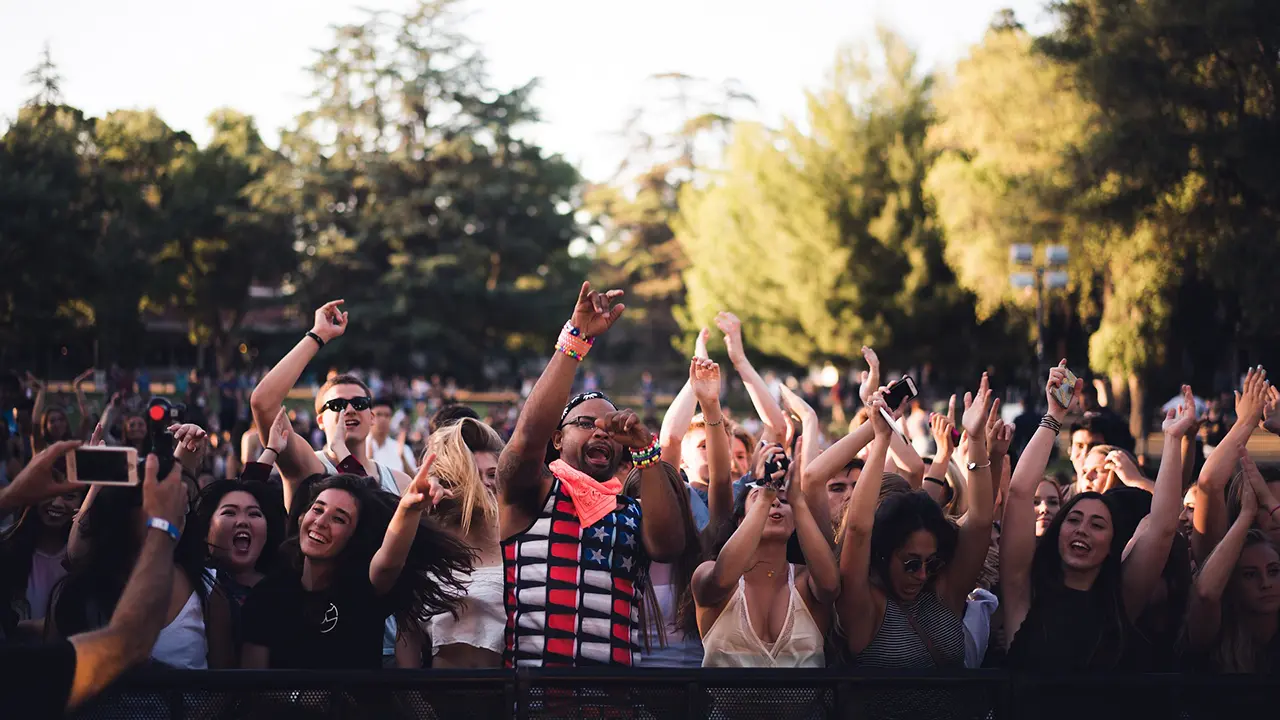 Fans, crowd of people in from of a concert